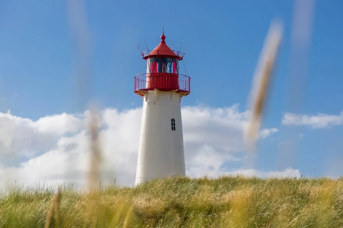 Leuchtturm List West auf Sylt im Dünengras