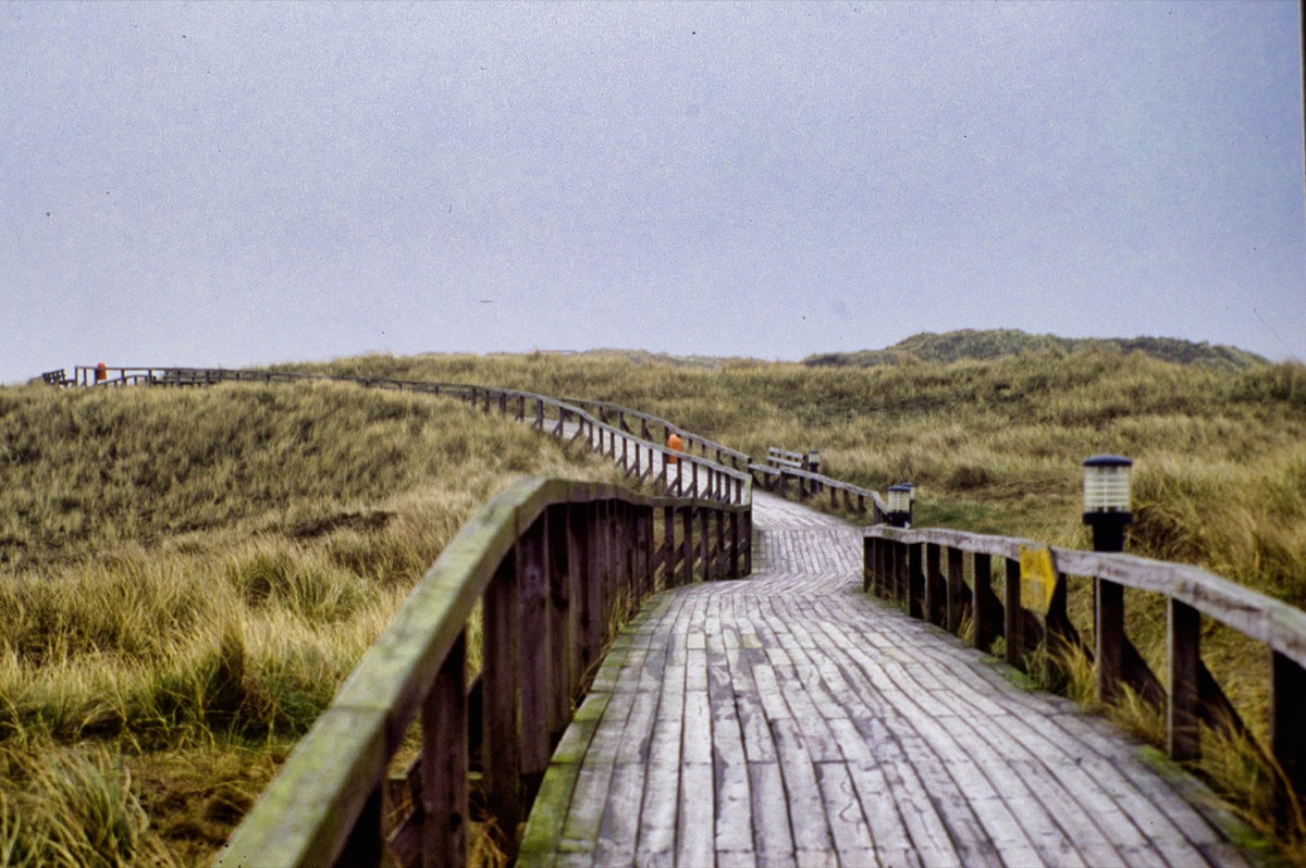 Bohlenweg durch die Dünen auf Sylt - Wanderweg