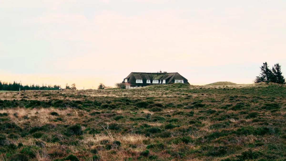 Reetdachhaus in der Heidelandschaft auf Sylt